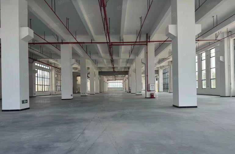 厚街镇1000平方红本厂房出租精装修带消费喷淋可分租