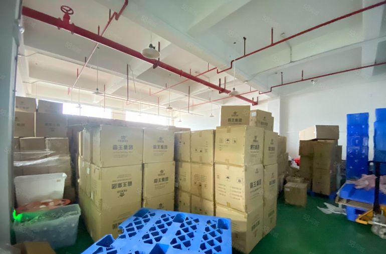 厚街原房东新出850平方精装修厂房实际面积出租水电齐全拎包