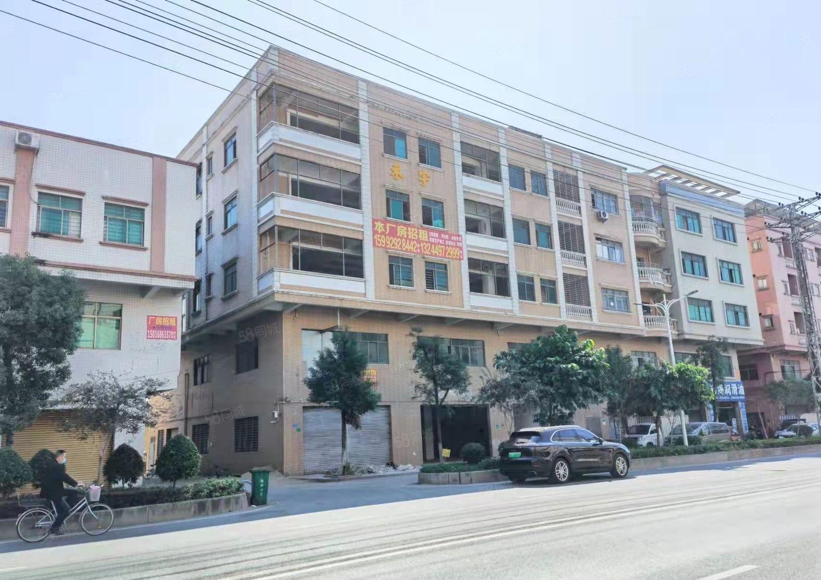 厚街镇西环路全新装修500平