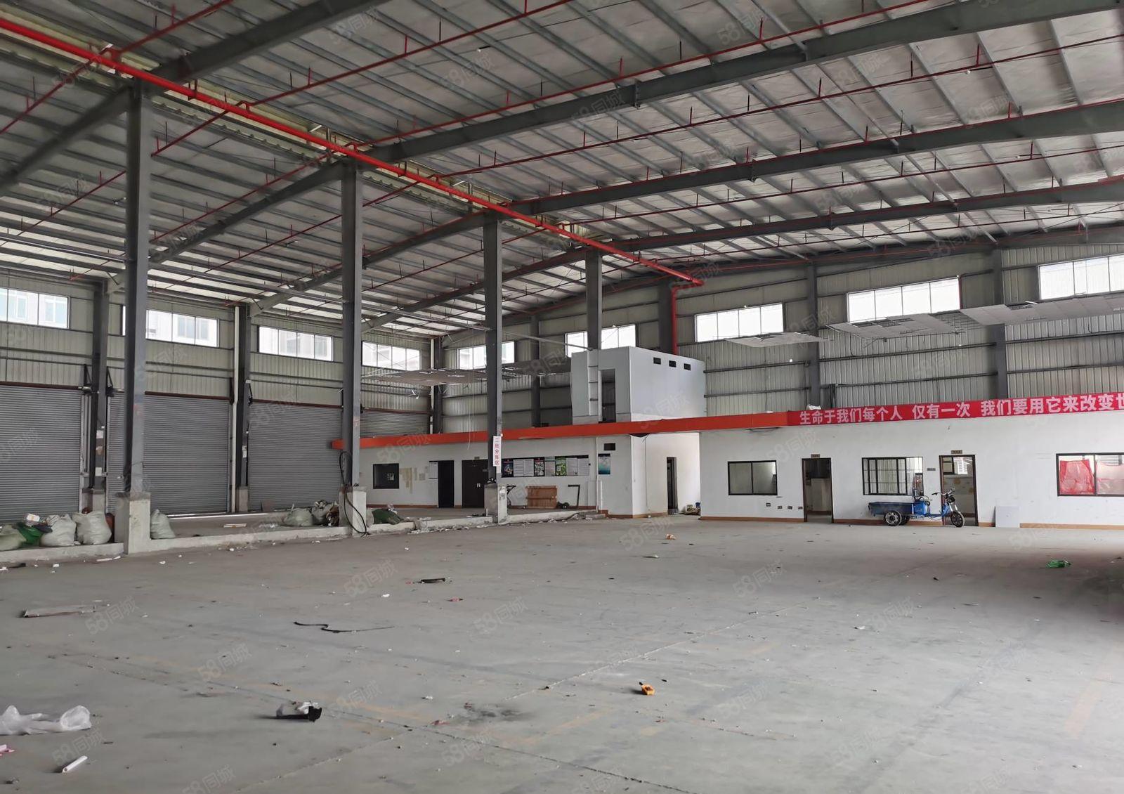 厚街新出独院钢构厂房3000方，原房东无公摊，滴水10米高