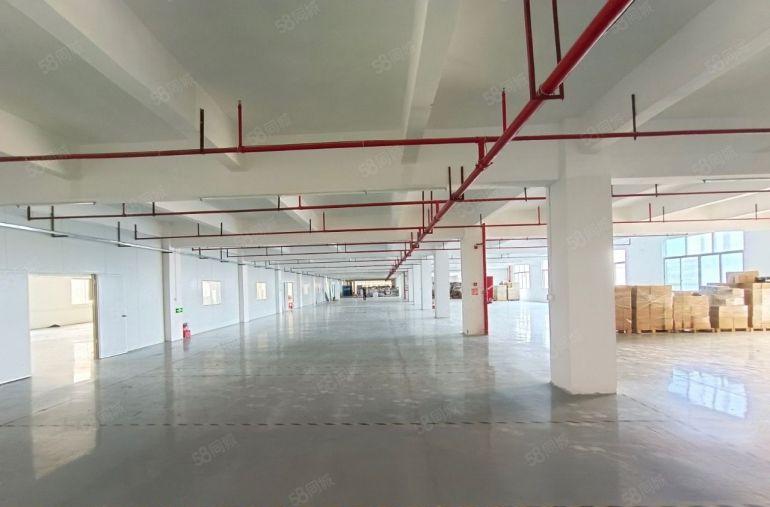 厚街（现成装修）独门独院21300方厂房出租