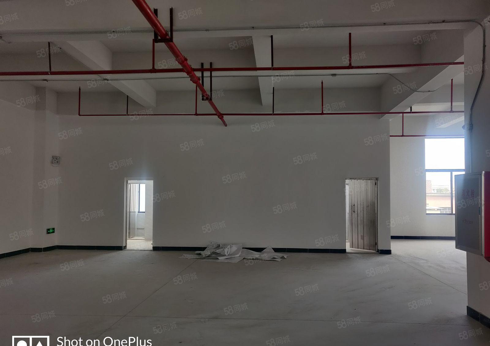 厚街全新厂房，有红本，工业用地，园区空地大，停车位足，电充足