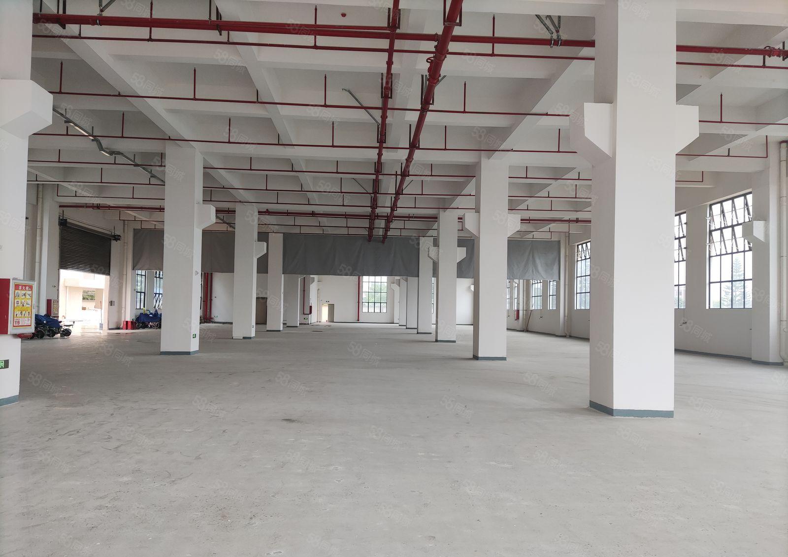 厂房出租  厚街新出带喷油环评厂房，适合各种行业，房东够实力