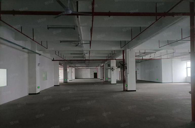 厚街下汴空出五楼2500平现成精装修水电齐全厂房出租仓库出租