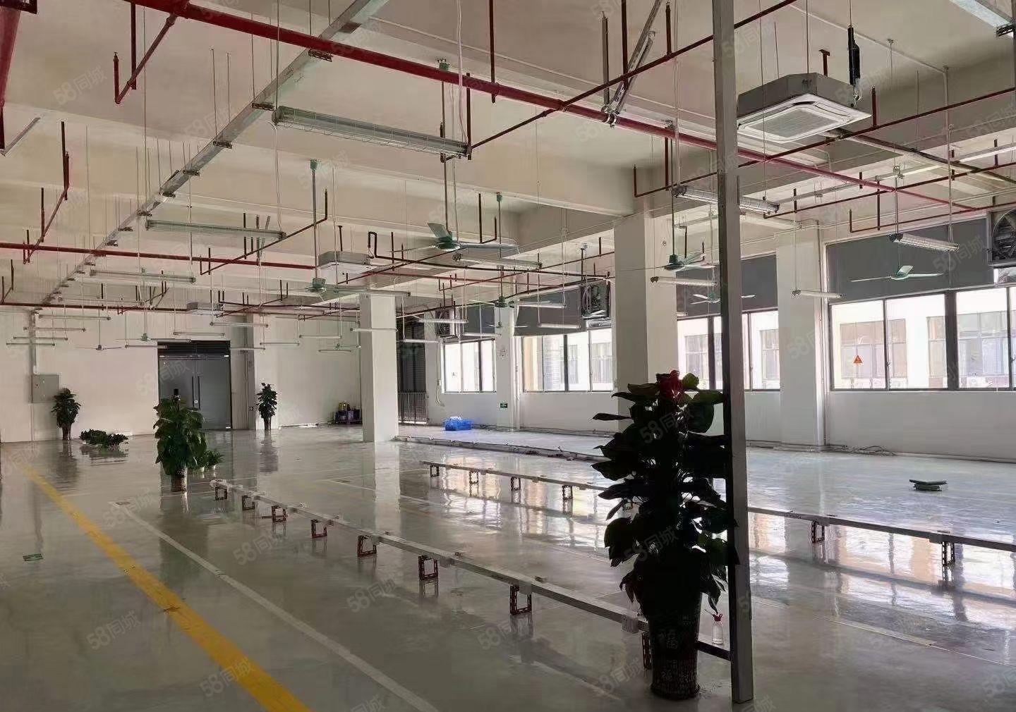 厚街原房东直租2400平方精装修水电齐全全新厂房