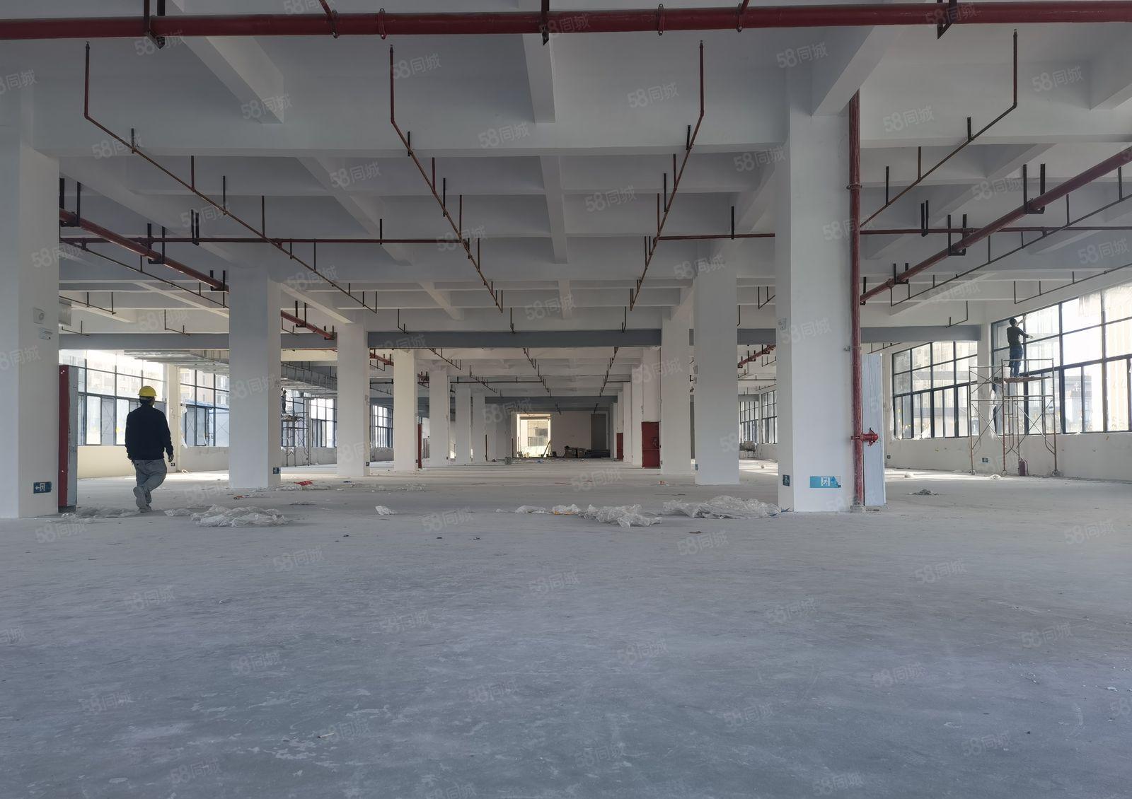 厚街全新红本独院三栋五层52000方