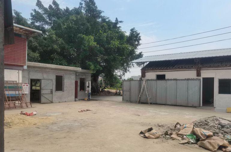 厚街镇新出原房东独院铁皮房以翻新地面租价16块