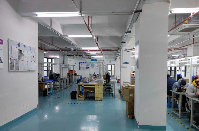 厚街独栋厂房 精装修 拎包入驻 适合电子 电商 贸易 直播