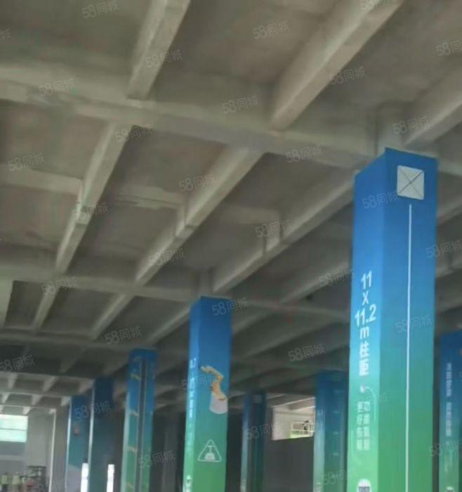 厚街厂房全新未使用高标厂房层高5.4米6米7.9米低价招商中