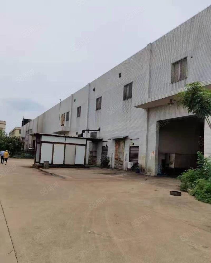 独门独院3250 砖混厂房出租层高10米 跨度24米 独院