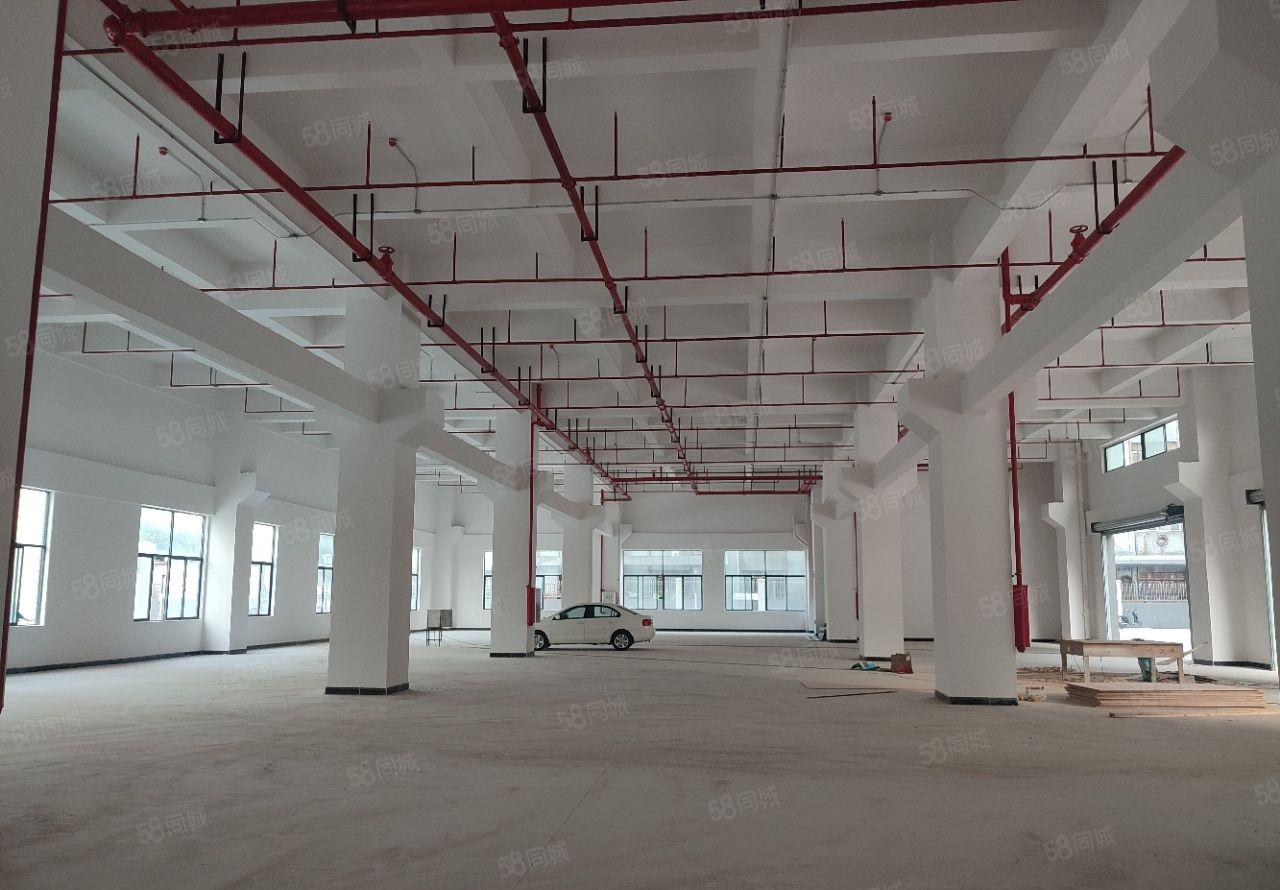 厚街新出全新重工业产业园15000平方一楼高7.5米按栋出租