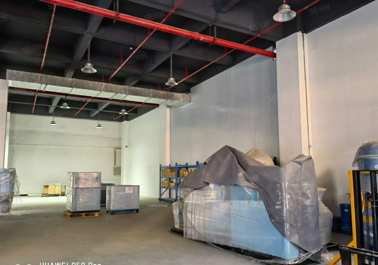 今日推出厚街镇新出靓盘