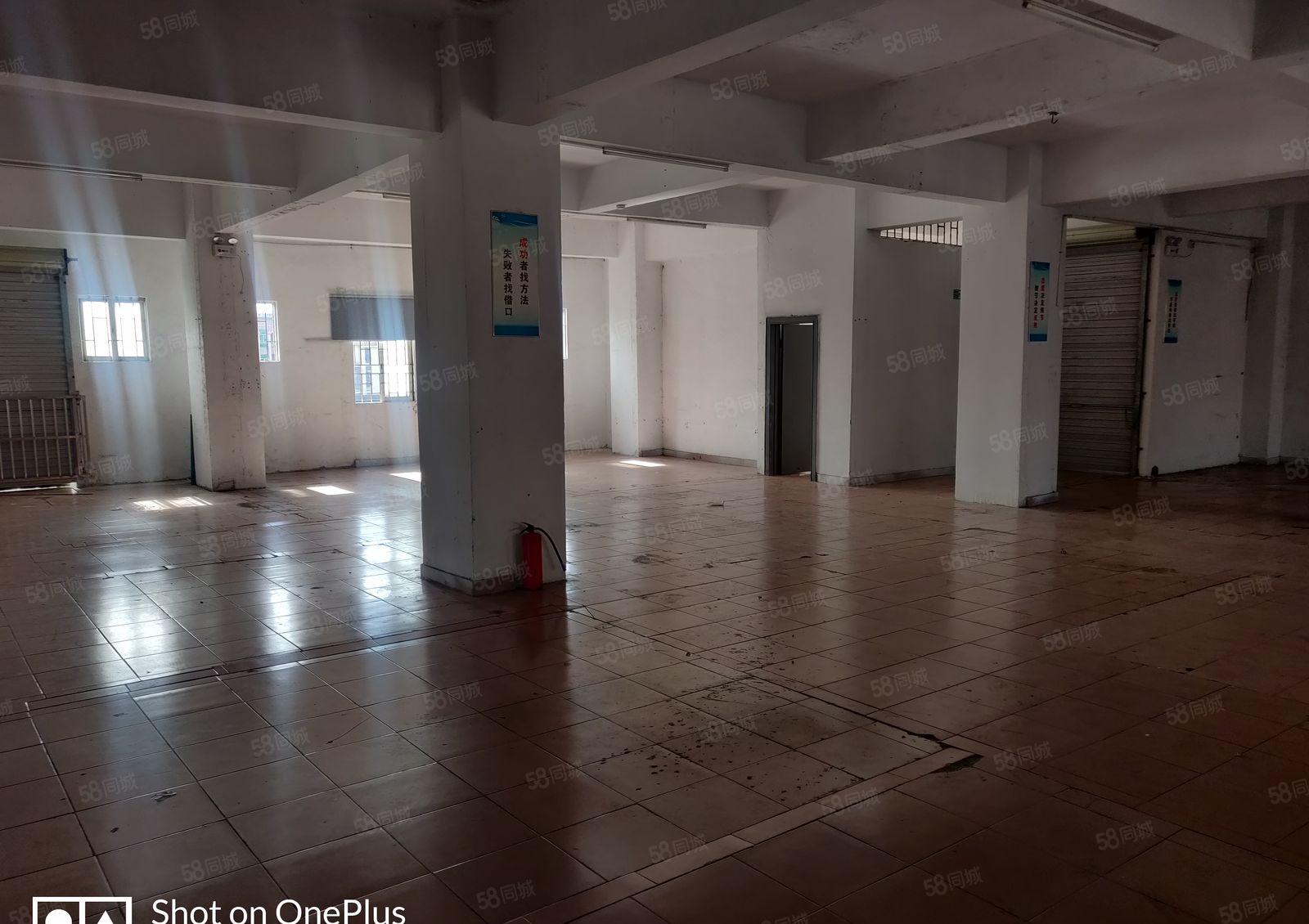 厚街村新出厂房5楼700平，路超大随意进车，价格美丽