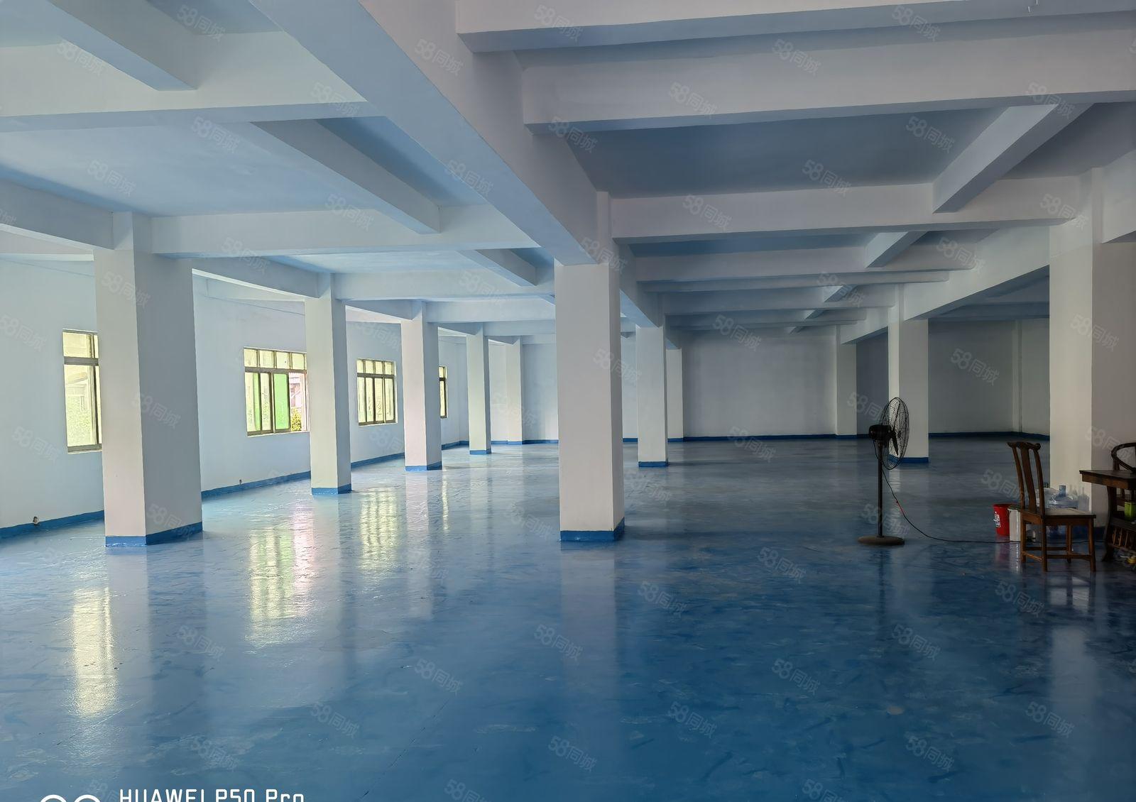 厚街全新独栋厂房15层单层850平 大小可分租 全新地坪漆