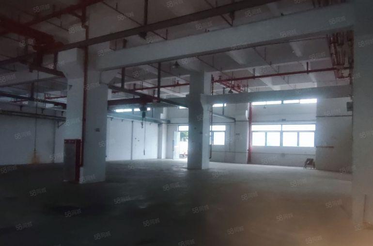 厚街镇厚街村全新花园厂房3200平一楼低价出租
