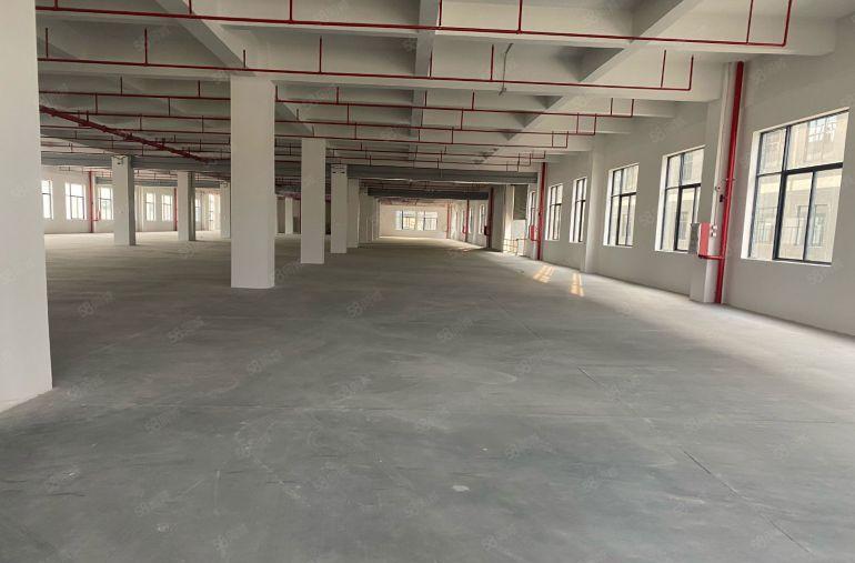 厚街镇3000平高新产业园红本厂房原房东易招工形象好空地大