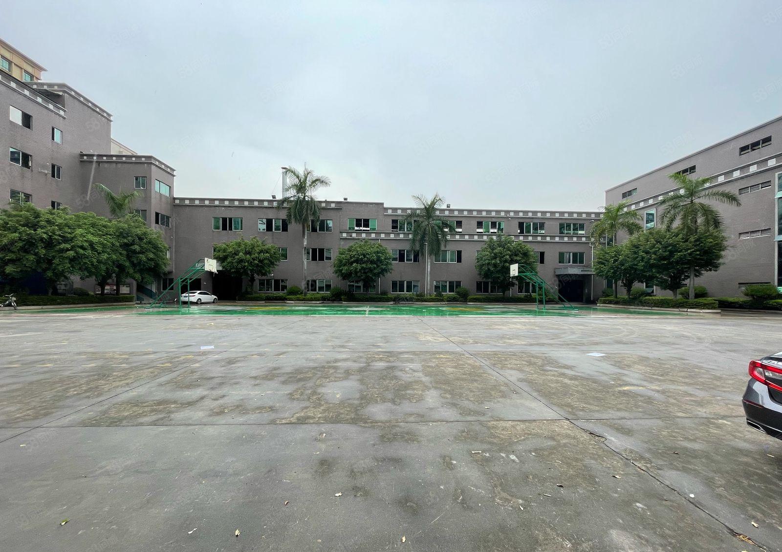 厚街花园式厂房一楼6500平方，现成环评，适合各种行业