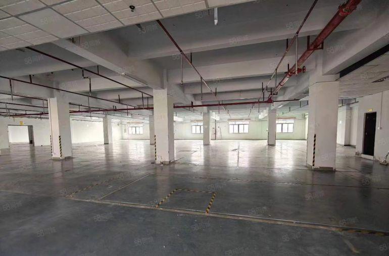 厚街新出标准厂房3楼1700方，空地大，形象好