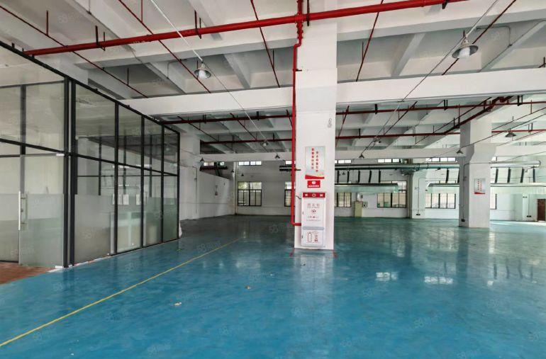 形象靓7米高（实图推出）独院一楼1300平方厂房出租带地坪漆