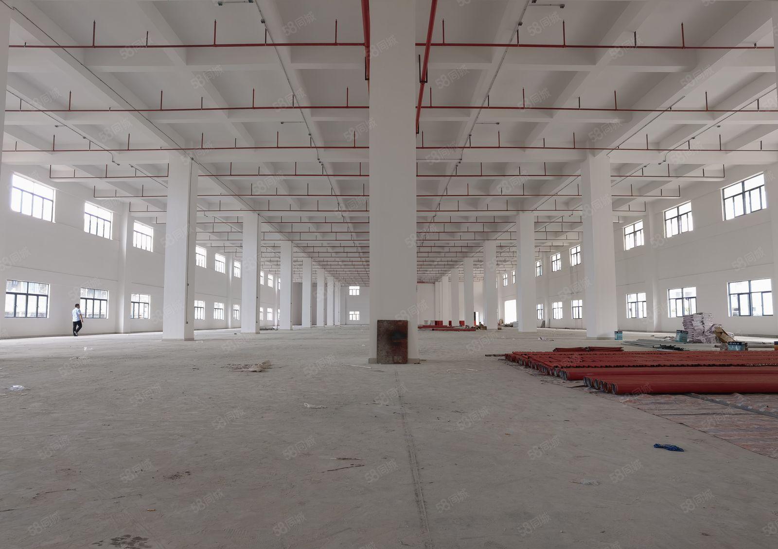 9米高全新红本独院厂房仓库四层14000方