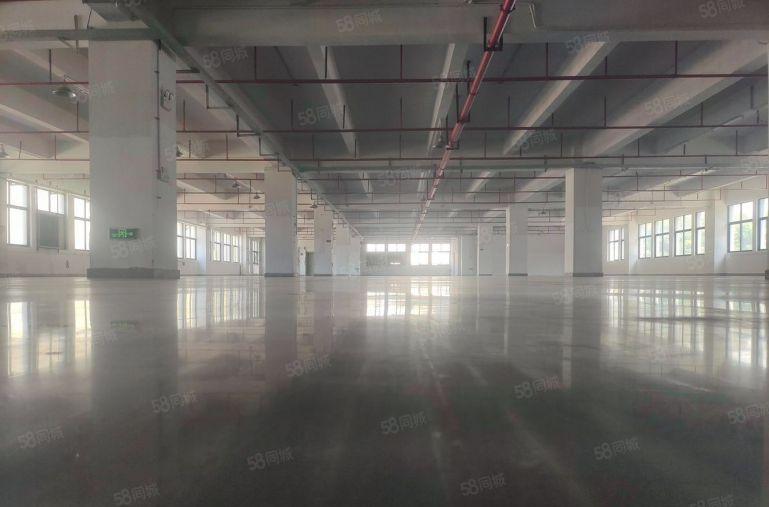 厚街镇 三屯园区楼上10块钱厂房1000平起分水电齐全精装修