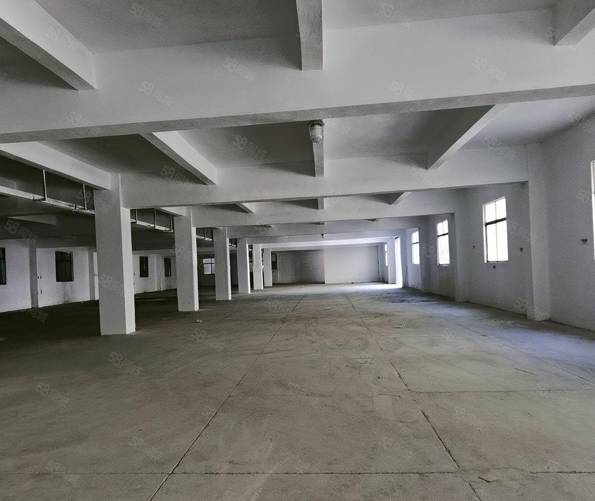 独门独院二层标准厂房可分，原房东直租，院子空地大，精装办公室