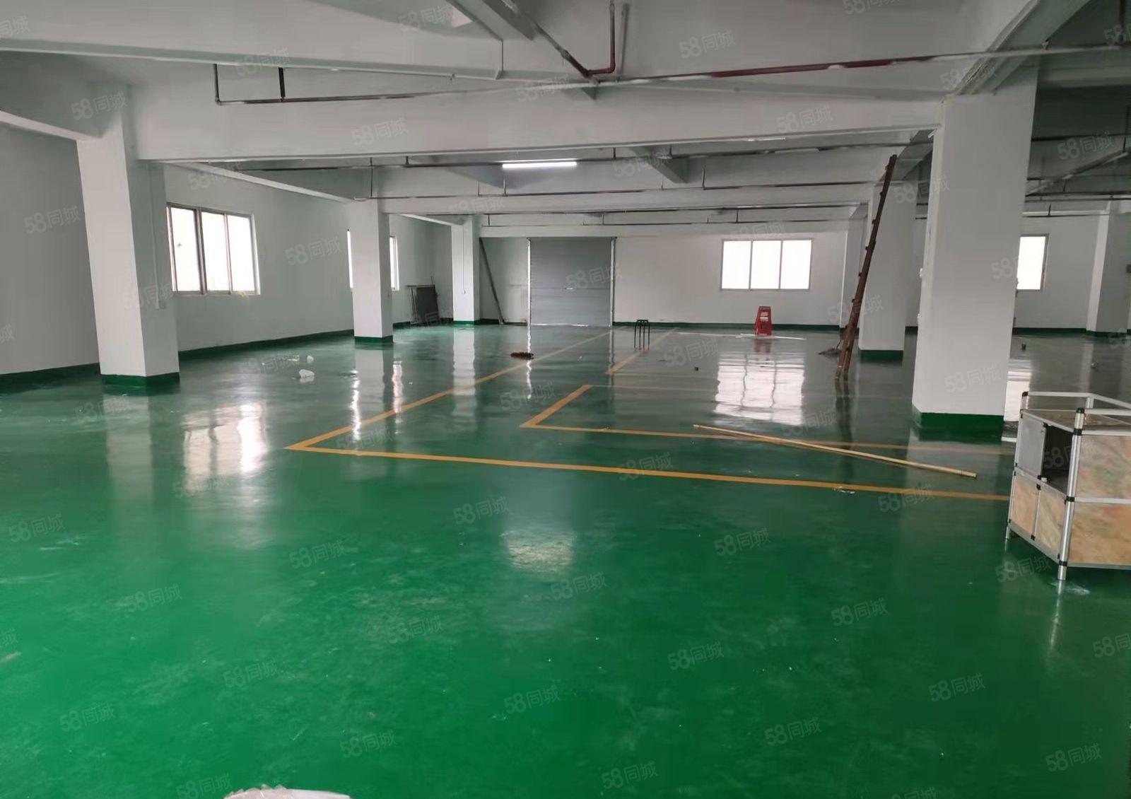 厚街全新地坪漆3楼720厂房