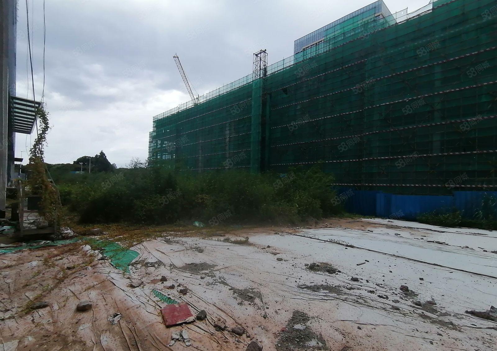 原房东全新独院定建厂房，标准工业用地，也可以包租，出租。