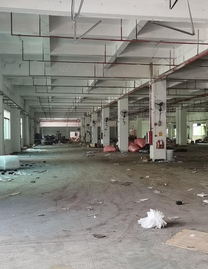 独门独院28000平可分两个独院有现成注塑航车现成环评形象好