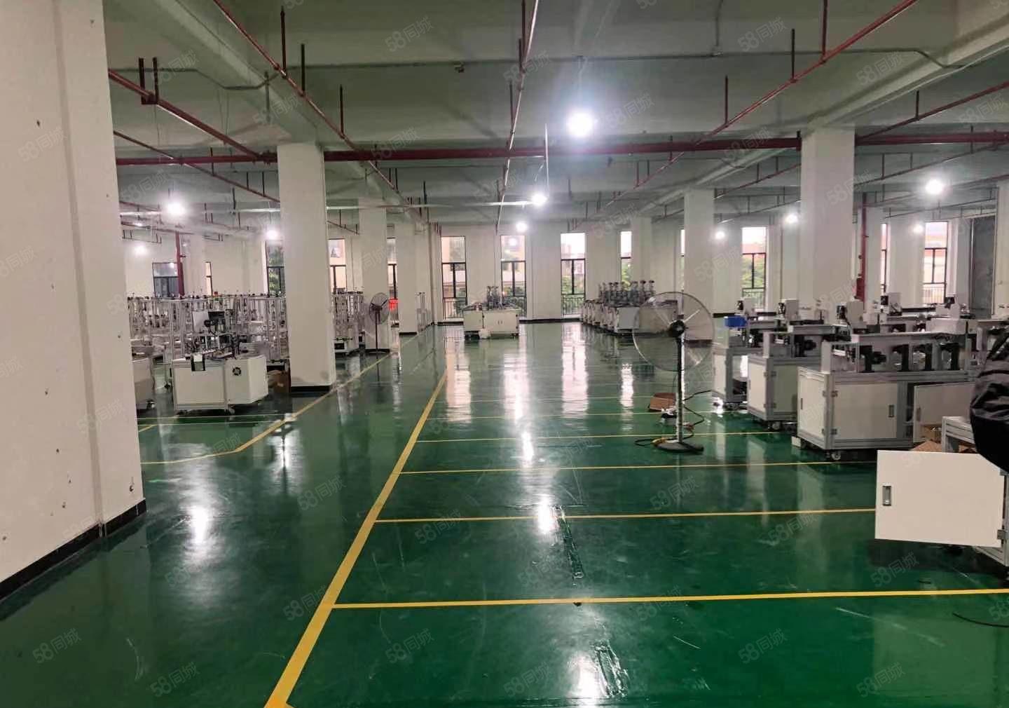 厚街汀山原房东1750平方精装修厂房仓库水电齐全