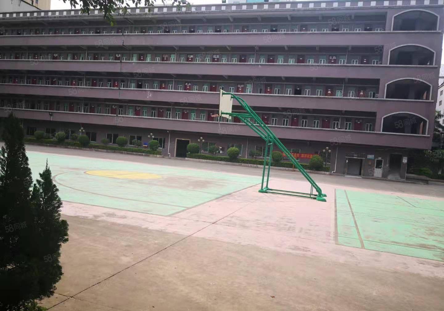 厚街花园式厂房一楼6500平方，现成环评，适合各种行业