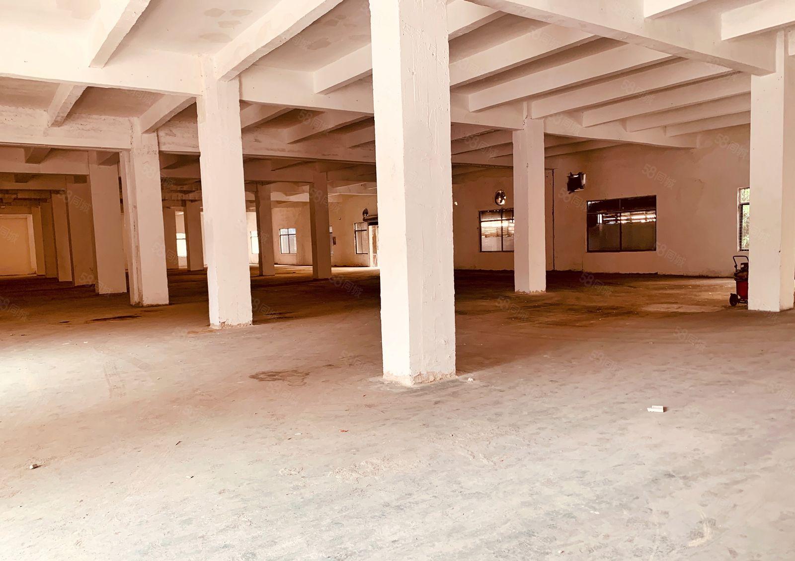 厚街2688方一楼标准厂房 现成鞋材环评 超大空地