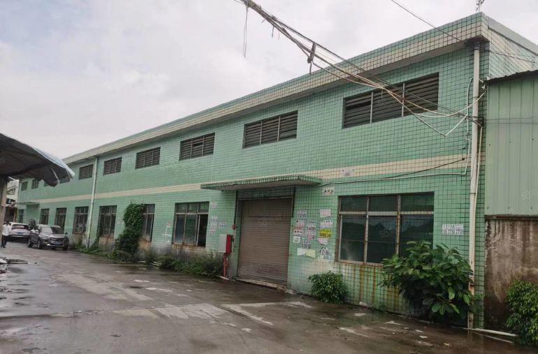 厚街单一层钢构独栋厂房出租2000平方无柱子使用率高低价分租