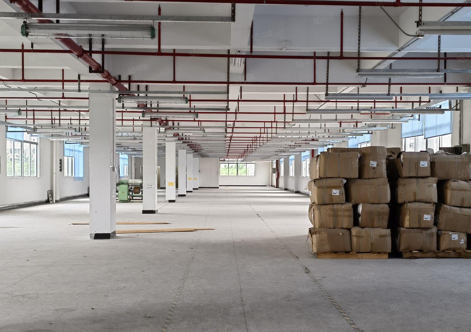 厚街原房东2楼整层1350平独院厂房分租厂房2吨货梯 形象好