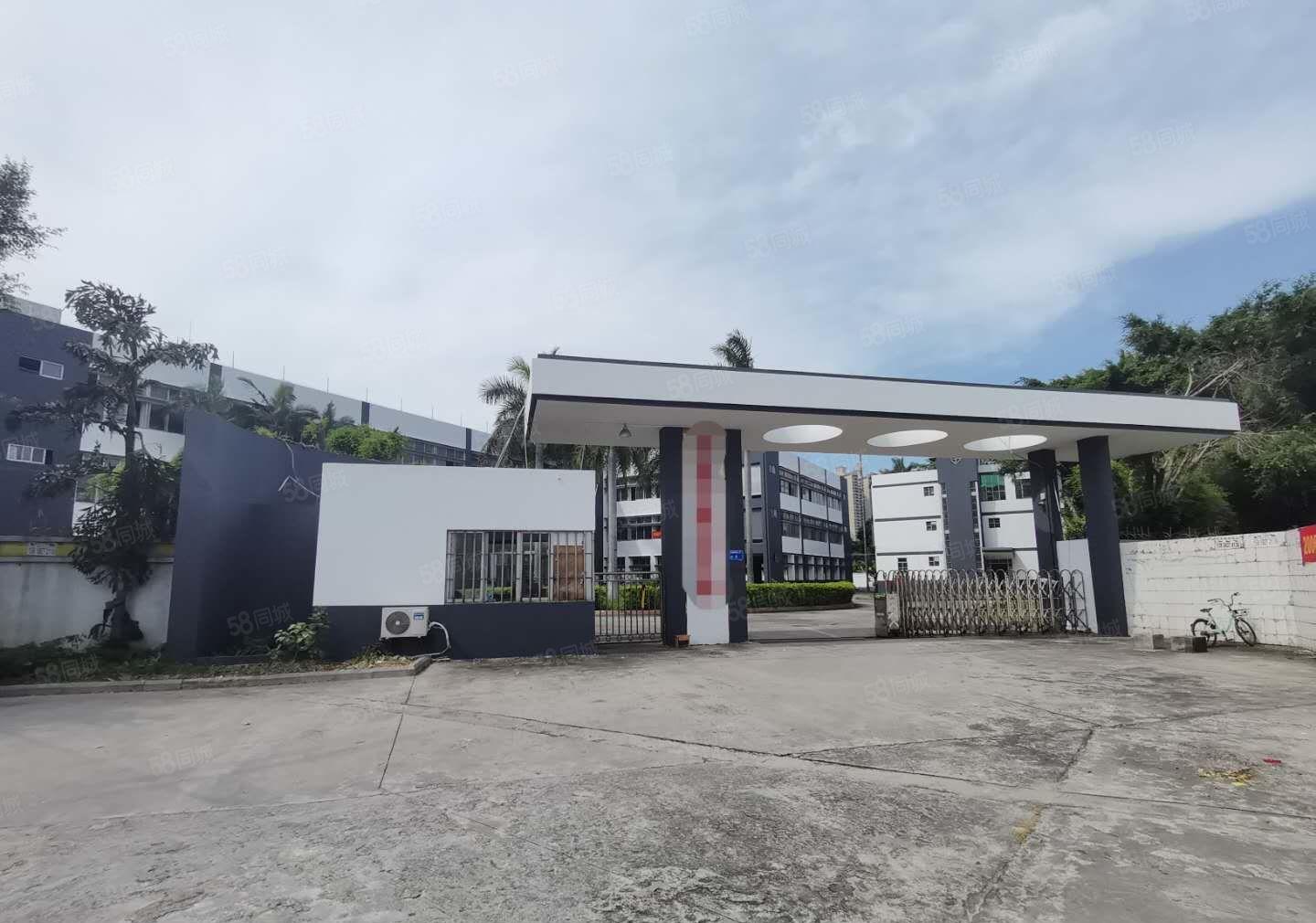 东莞市厚街独门独院标准低价厂房出租空地大带绿化