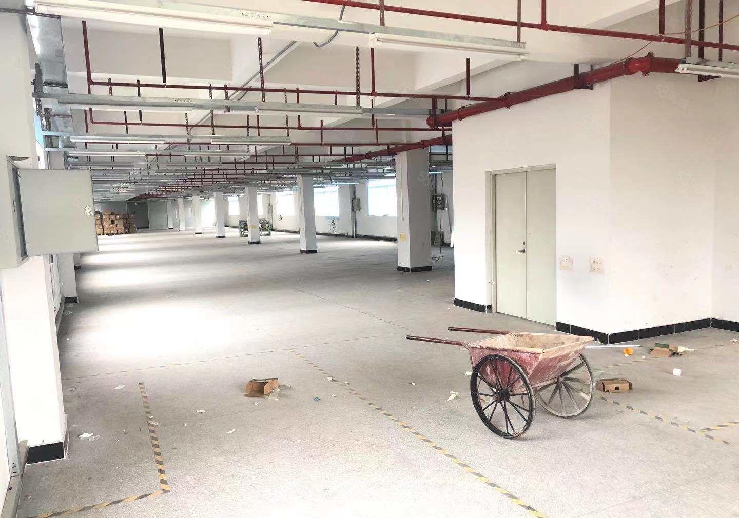 原房东独门独院厚街2楼1500方厂房出租