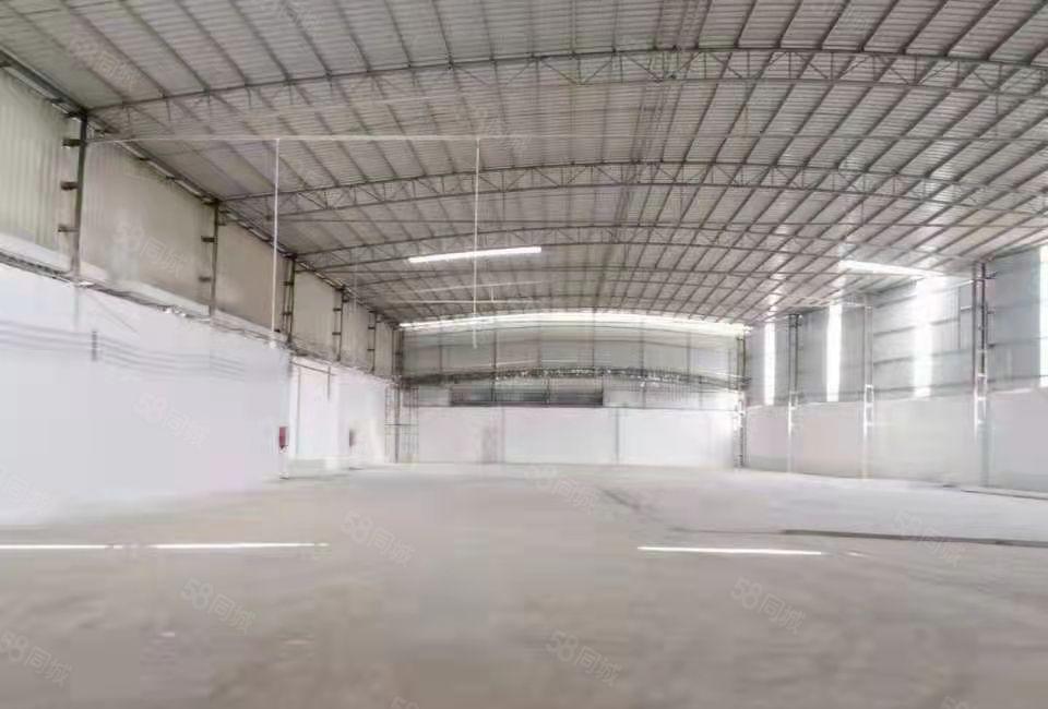 厚街单一层钢结构厂房仓库出租3100平方可分租水电线路齐全