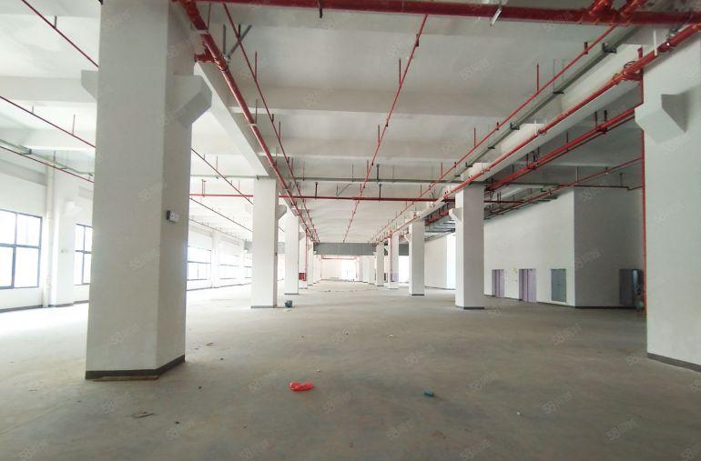 两百平起租8元零公摊厚街南城一楼6千平仓库低价出租