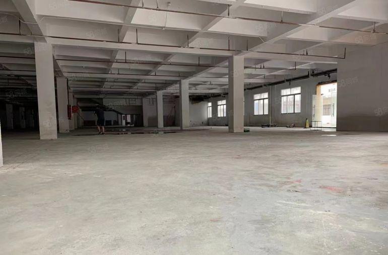 厚街一手房东厂房出租8600平方可分租可整租仓库出租好进货柜