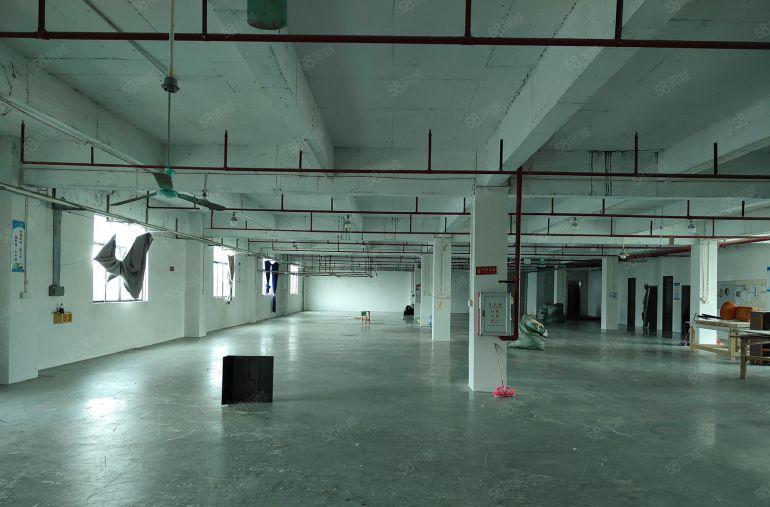 原房东标准独院厂房出租 主干道边上 适合 五金 设备 鞋材