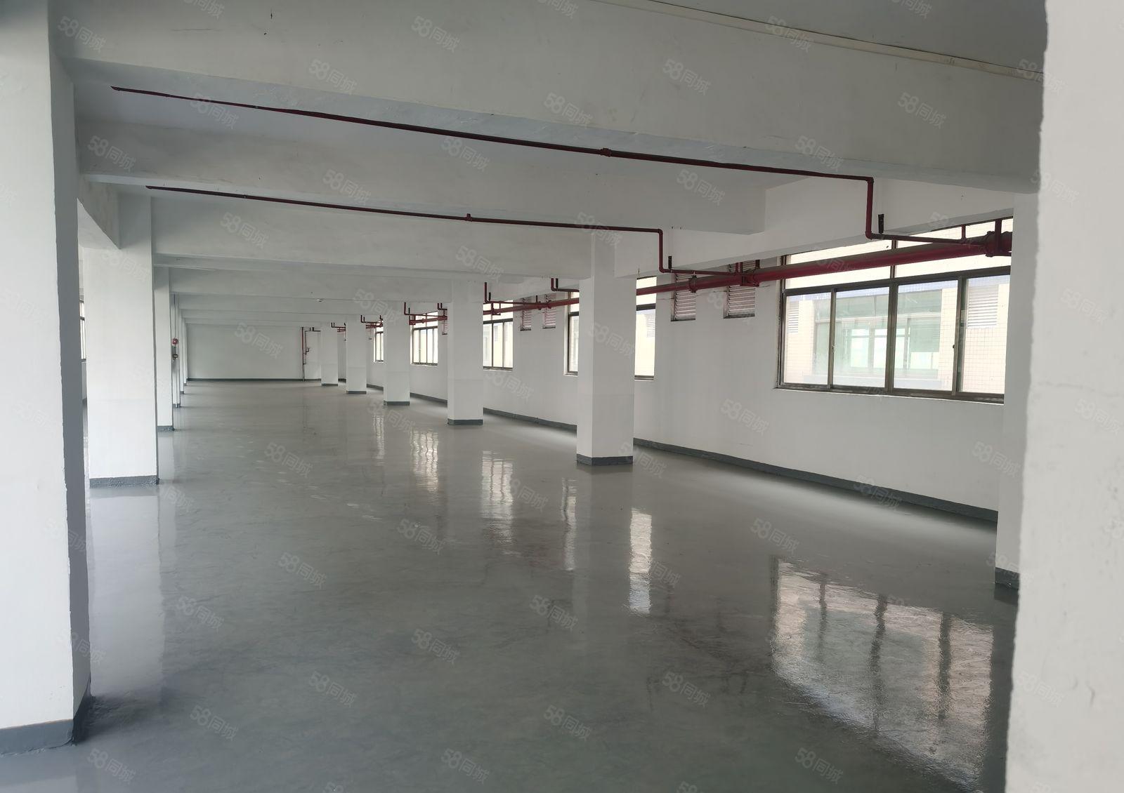 园区超大空地厂房低价出租