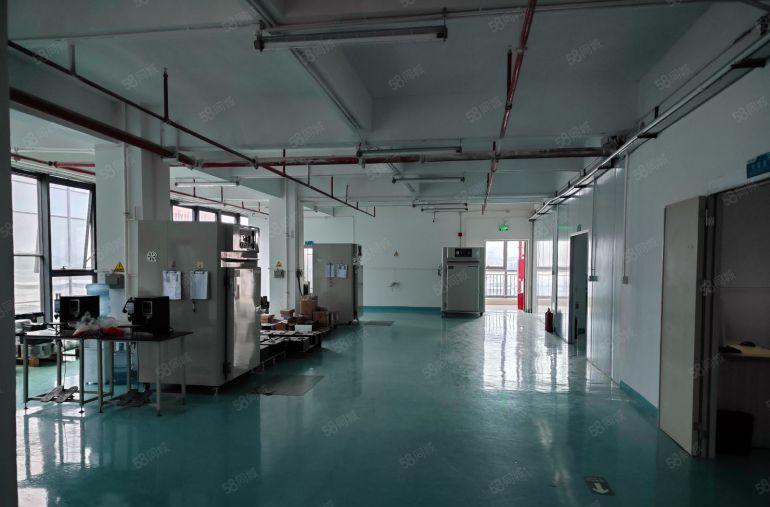 厚街独栋厂房 精装修 拎包入驻 适合电子 电商 贸易 直播