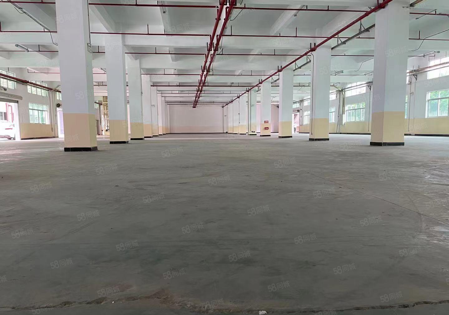 原房东一楼3000平6米高空地大形象好水电费自己交