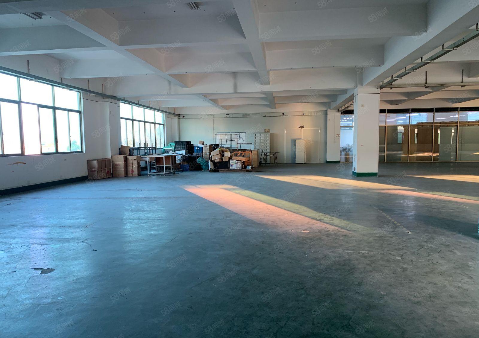 厚街汀山原房东工业园1500平方实际面积厂房出租仓库出租