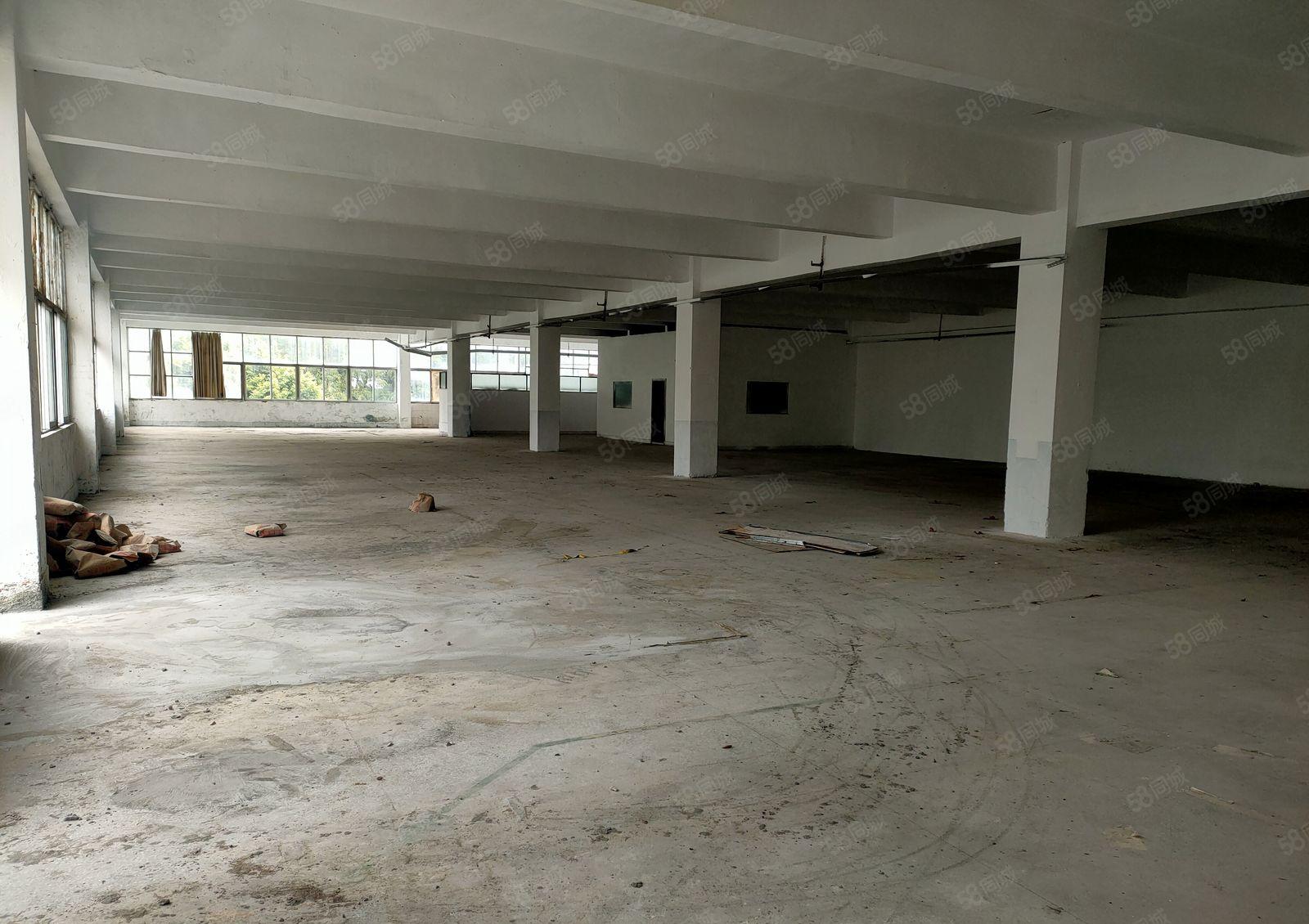 厚街新空出小面积750平，价格低！空地大！