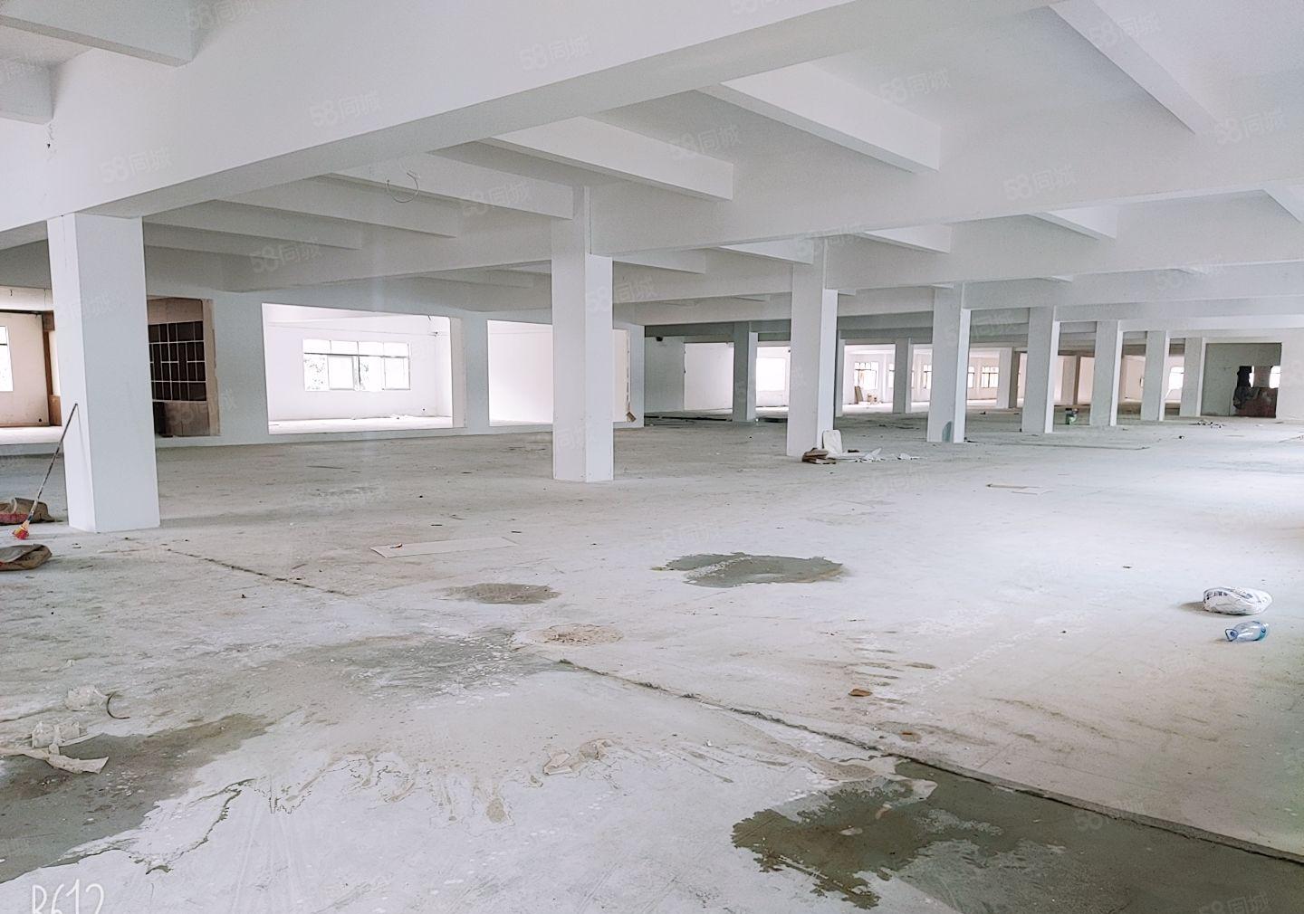 滨海湾片区智能智造高科产业园红本厂房优惠出租一楼带牛角7米高