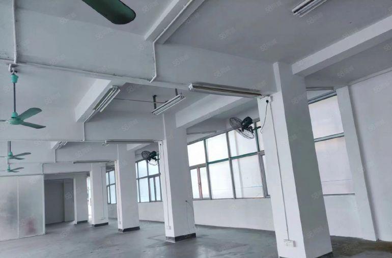 厚街镇新出1300平标准厂房独门独院出租，7米高，水电全