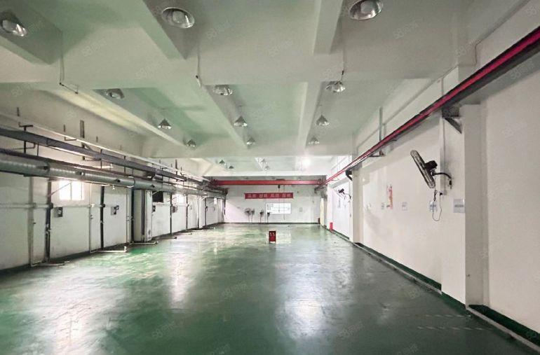 厚街新出标准独门独院厂房厂房一楼1500方，原房东实际面积