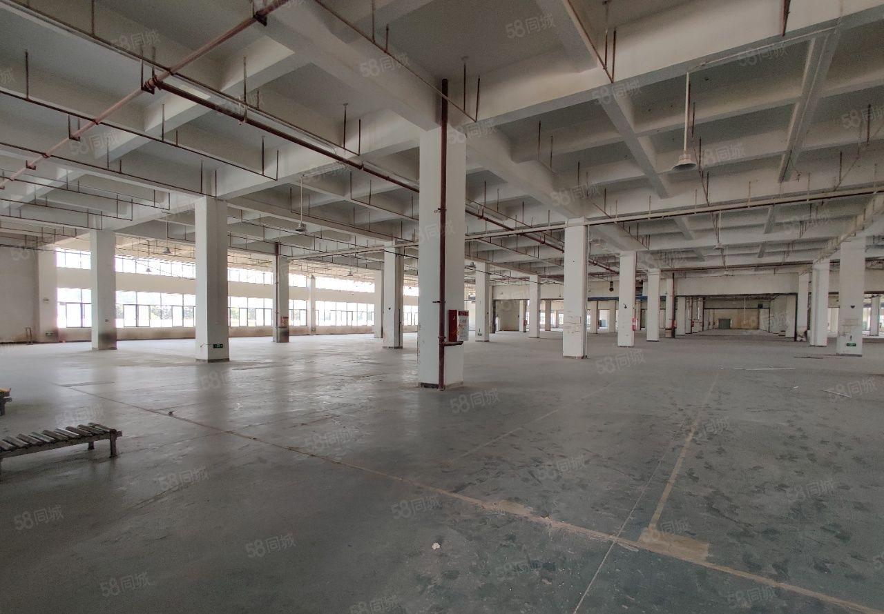 厚街宝屯新出32000平米原房东独院厂房出租适合任何行业。