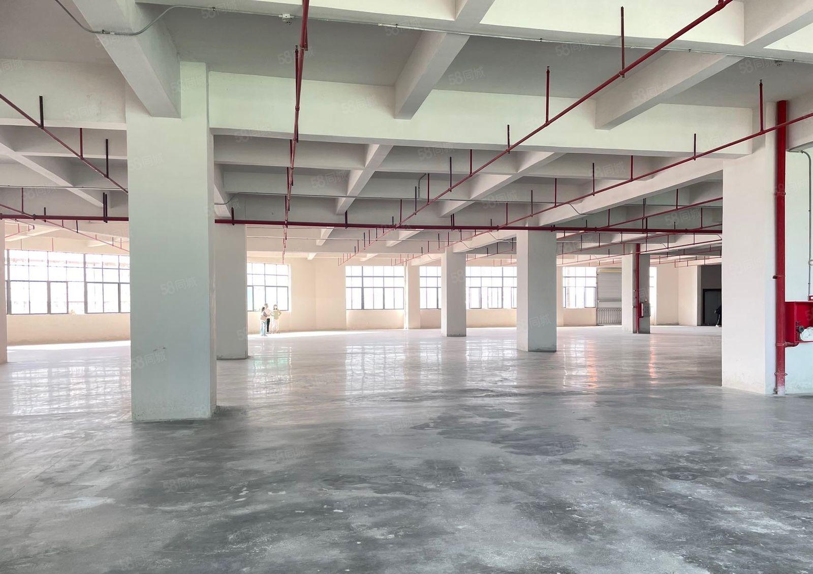 急租厚街实图（全新）独院2楼7500方厂房出租繁华好招工